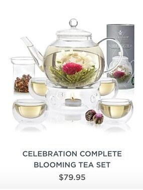 Clear Glass Blooming Tea Set with Double-Wall Cups